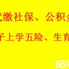 西安金領(lǐng)人力資源信息咨詢服務(wù)有限責(zé)任公司 專業(yè)信息咨詢服務(wù)的全面解析